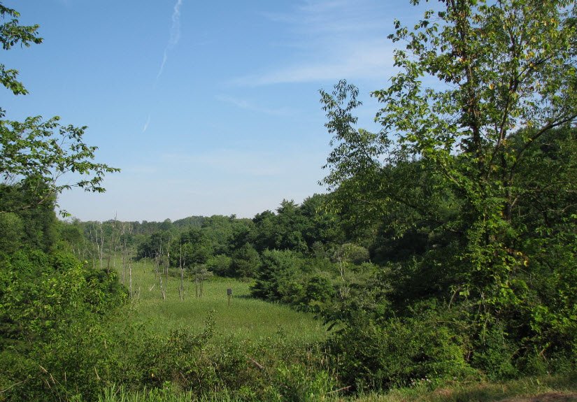 Hillman State Park, Pennsylvania, USA